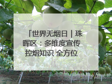 世界无烟日｜珠晖区：多维度宣传控烟知识 全方位共筑健康防线