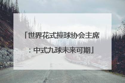 世界花式撞球协会主席：中式九球未来可期