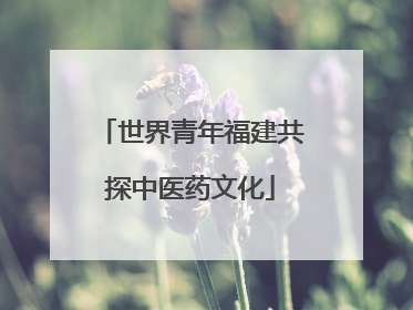 世界青年福建共探中医药文化