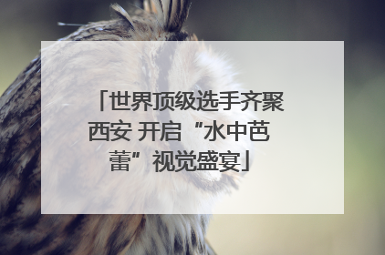 世界顶级选手齐聚西安 开启“水中芭蕾”视觉盛宴