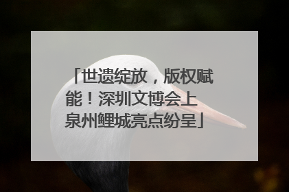 世遗绽放，版权赋能！深圳文博会上 泉州鲤城亮点纷呈