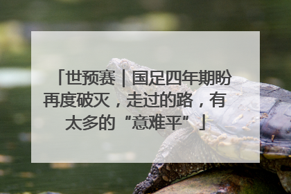 世预赛｜国足四年期盼再度破灭，走过的路，有太多的“意难平”
