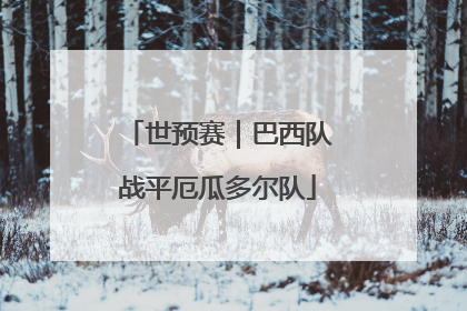 世预赛｜巴西队战平厄瓜多尔队