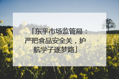 东平市场监管局：严把食品安全关，护航学子逐梦路
