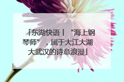东湖快语丨“海上钢琴师”，属于大江大湖大武汉的诗意浪漫