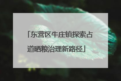 东营区牛庄镇探索占道晒粮治理新路径