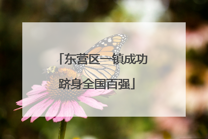东营区一镇成功跻身全国百强
