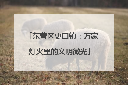 东营区史口镇：万家灯火里的文明微光