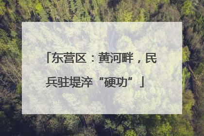 东营区：黄河畔，民兵驻堤淬“硬功”