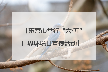 东营市举行“六·五”世界环境日宣传活动