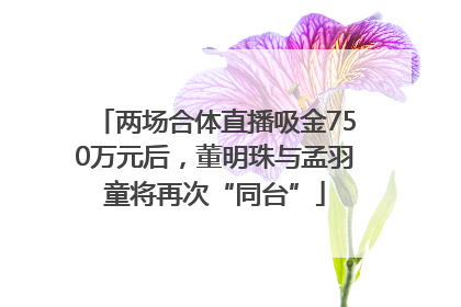 两场合体直播吸金750万元后，董明珠与孟羽童将再次“同台”