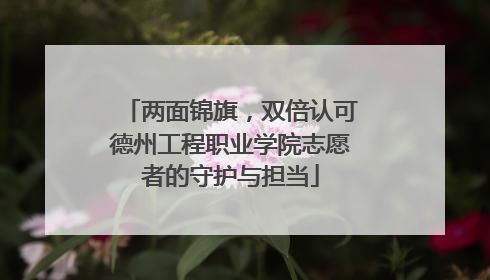 两面锦旗，双倍认可德州工程职业学院志愿者的守护与担当