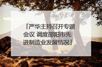 严华主持召开专题会议 调度邵阳市先进制造业发展情况
