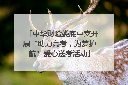 中华财险娄底中支开展“助力高考，为梦护航”爱心送考活动
