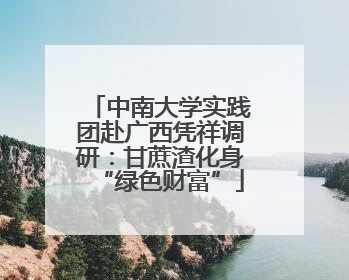 中南大学实践团赴广西凭祥调研：甘蔗渣化身“绿色财富”