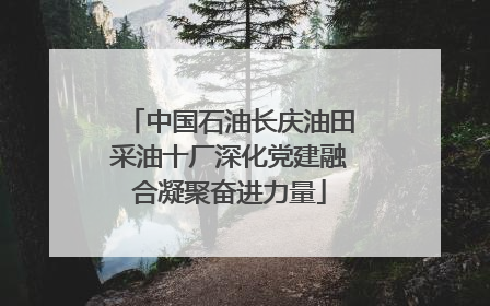 中国石油长庆油田采油十厂深化党建融合凝聚奋进力量