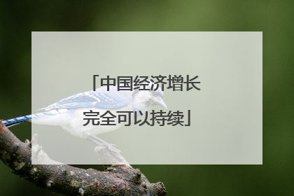 中国经济增长完全可以持续