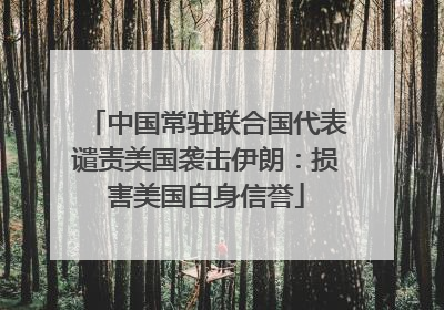 中国常驻联合国代表谴责美国袭击伊朗：损害美国自身信誉