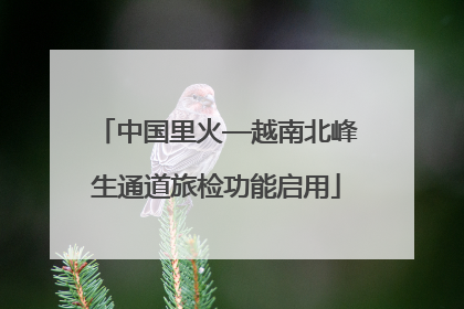 中国里火—越南北峰生通道旅检功能启用