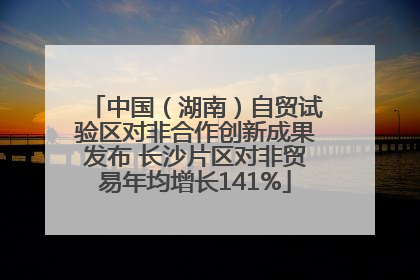 中国（湖南）自贸试验区对非合作创新成果发布 长沙片区对非贸易年均增长141%