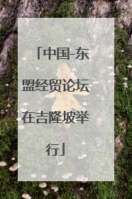中国-东盟经贸论坛在吉隆坡举行