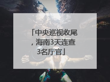 中央巡视收尾，海南3天连查3名厅官