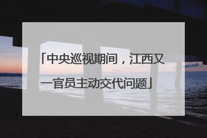 中央巡视期间，江西又一官员主动交代问题