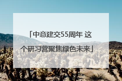 中意建交55周年 这个研习营聚焦绿色未来