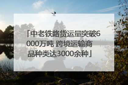 中老铁路货运量突破6000万吨 跨境运输商品种类达3000余种