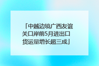 中越边境广西友谊关口岸前5月进出口货运量增长超三成