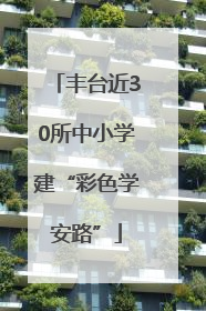 丰台近30所中小学建“彩色学安路”