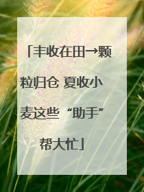 丰收在田→颗粒归仓 夏收小麦这些“助手”帮大忙