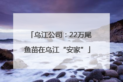 乌江公司：22万尾鱼苗在乌江“安家”