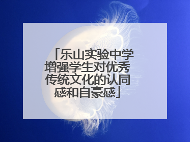 乐山实验中学增强学生对优秀传统文化的认同感和自豪感