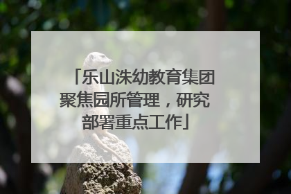 乐山洙幼教育集团聚焦园所管理，研究部署重点工作