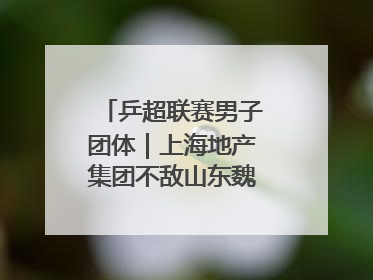 乒超联赛男子团体｜上海地产集团不敌山东魏桥·向尚运动