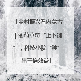 乡村振兴看内蒙古｜葡萄草莓“上下铺”，科技小院“种”出三倍效益