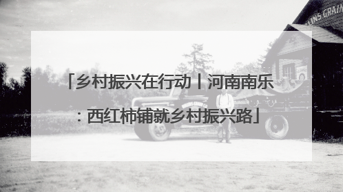 乡村振兴在行动丨河南南乐：西红柿铺就乡村振兴路