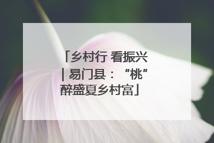 乡村行 看振兴｜易门县：“桃”醉盛夏乡村富