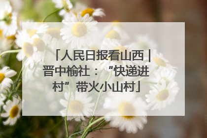 人民日报看山西｜晋中榆社：“快递进村”带火小山村