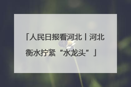 人民日报看河北丨河北衡水拧紧“水龙头”