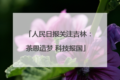 人民日报关注吉林：茶思造梦 科技报国
