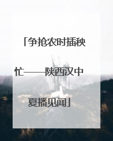 争抢农时插秧忙——陕西汉中夏播见闻