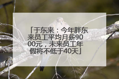 于东来：今年胖东来员工平均月薪9000元，未来员工年假将不低于40天