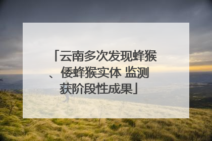 云南多次发现蜂猴、倭蜂猴实体 监测获阶段性成果