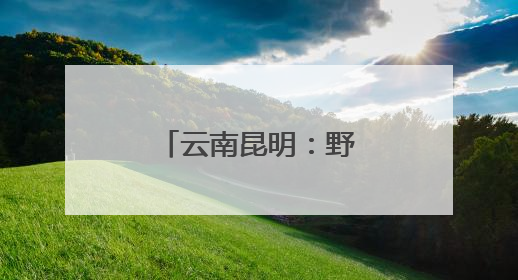 云南昆明：野生菌大量上市