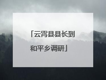 云霄县县长到和平乡调研