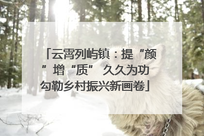 云霄列屿镇：提“颜”增“质” 久久为功勾勒乡村振兴新画卷
