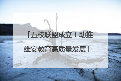 五校联盟成立！助推雄安教育高质量发展