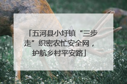 五河县小圩镇“三步走”织密农忙安全网，护航乡村平安路